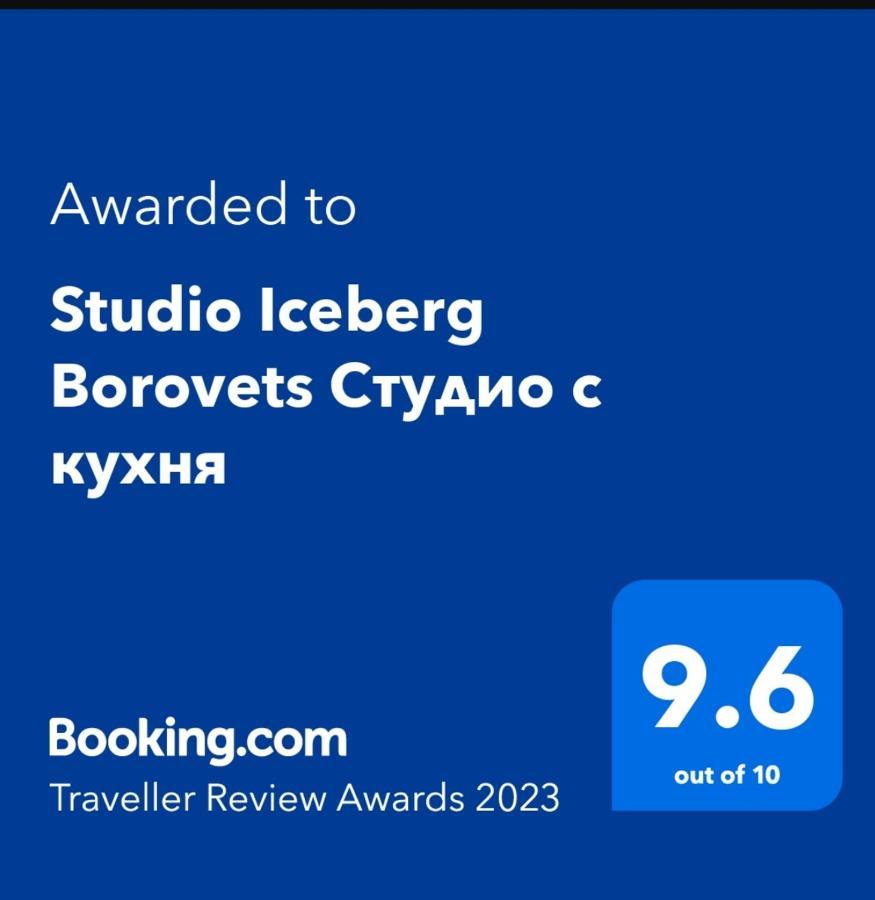 Studio 1 Iceberg ボロヴェッツ エクステリア 写真